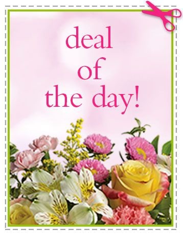 Deal Of The Day - We'll do all of the work. You'll take all of the credit